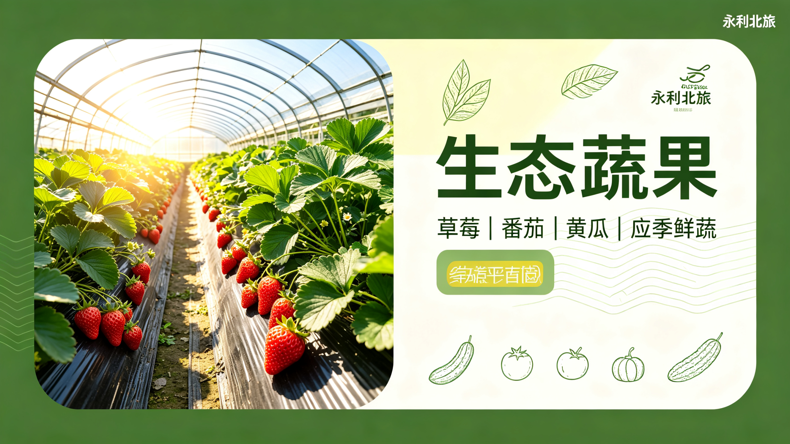 图片-东一网