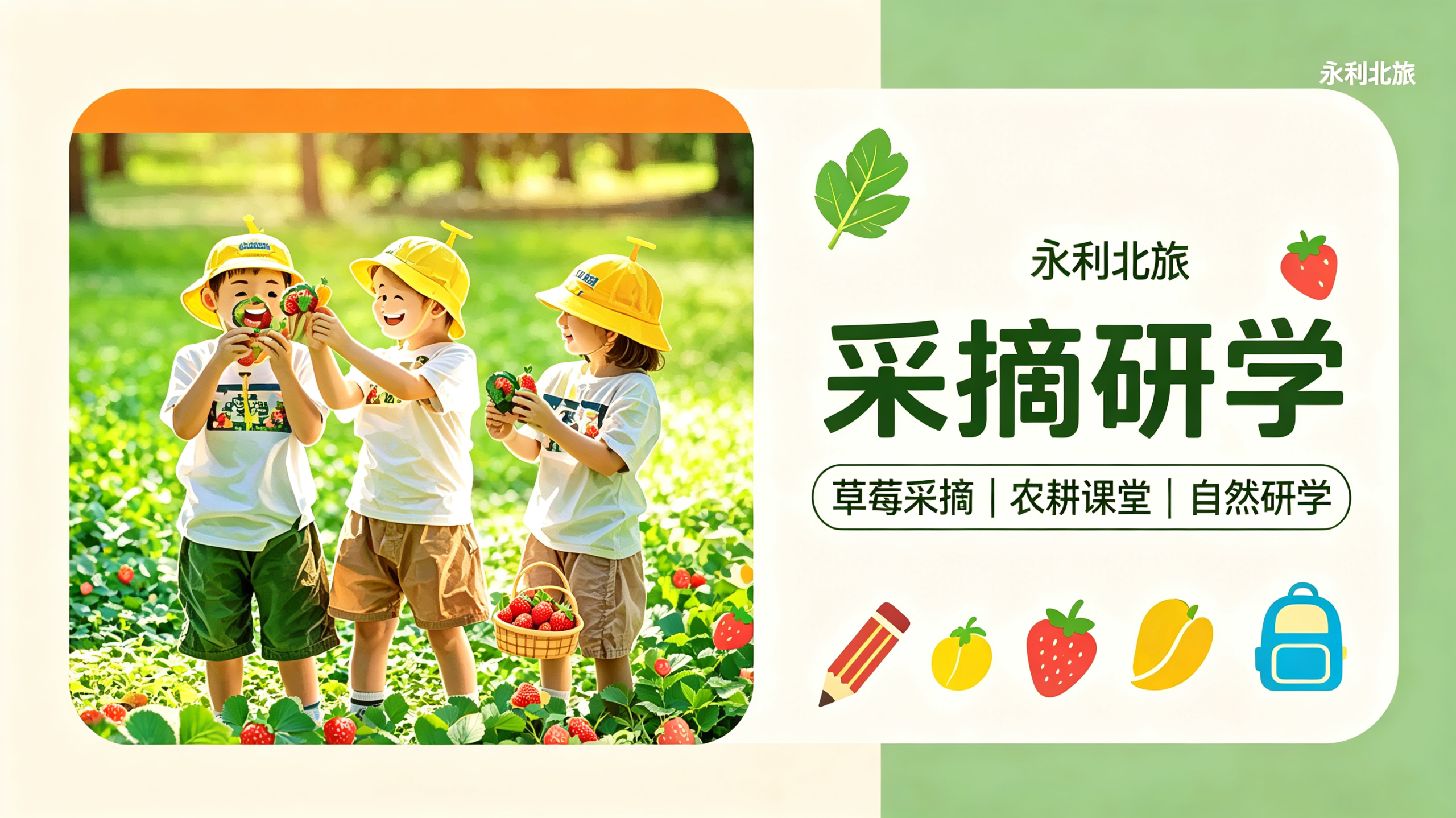 图片-东一网