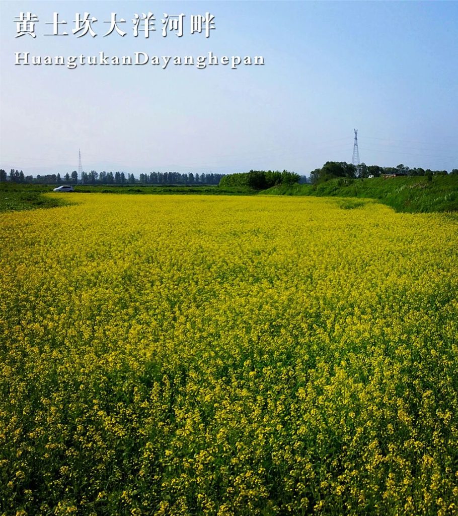 微信图片_2026-08-09_081039_228