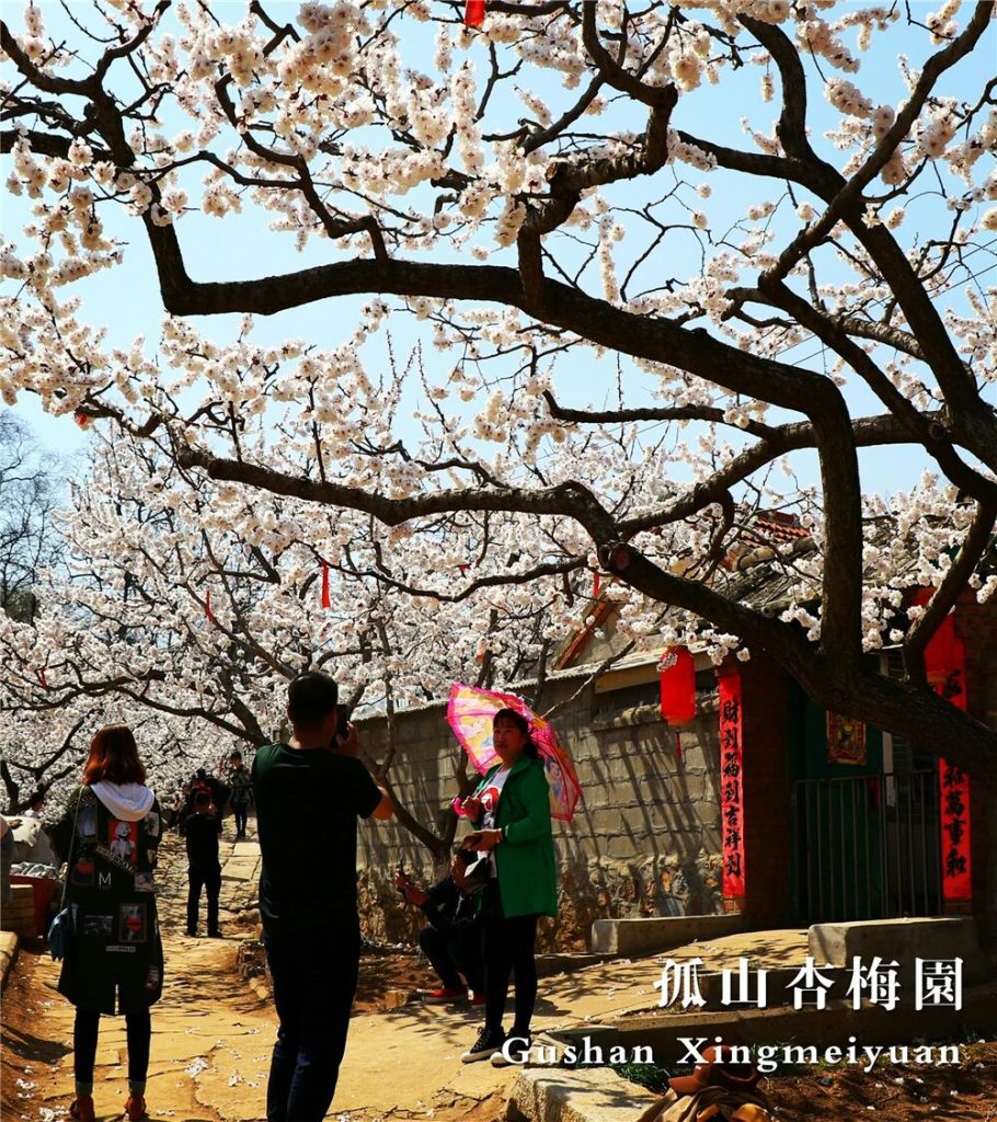 微信图片_2026-08-09_081043_344