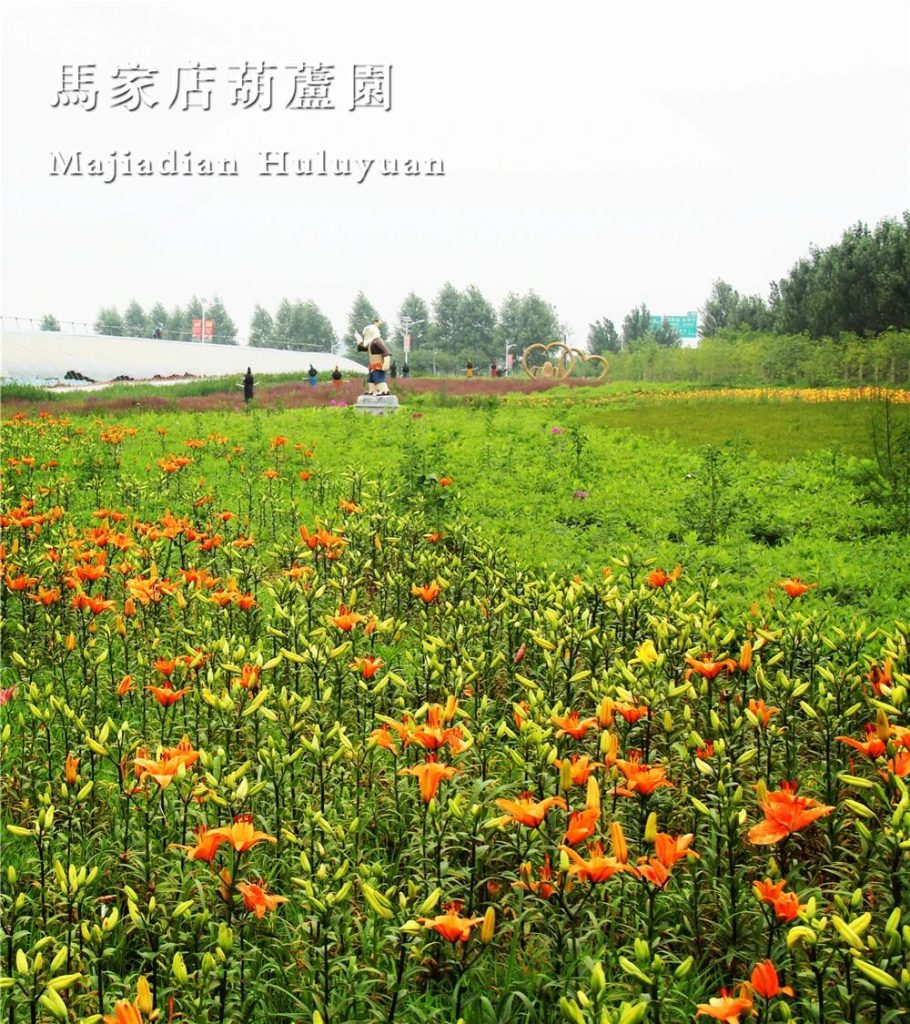微信图片_2026-08-09_081055_744