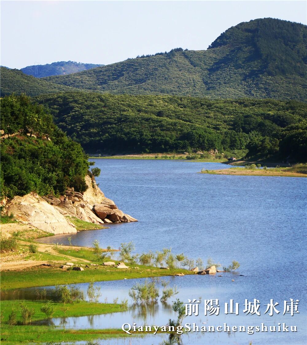会员系统
