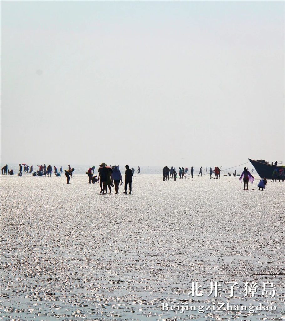 微信图片_2026-08-09_081126_018
