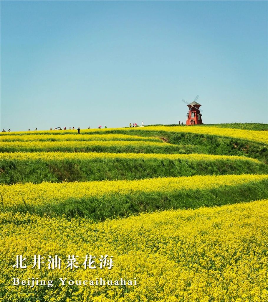 微信图片_2026-08-09_081130_469