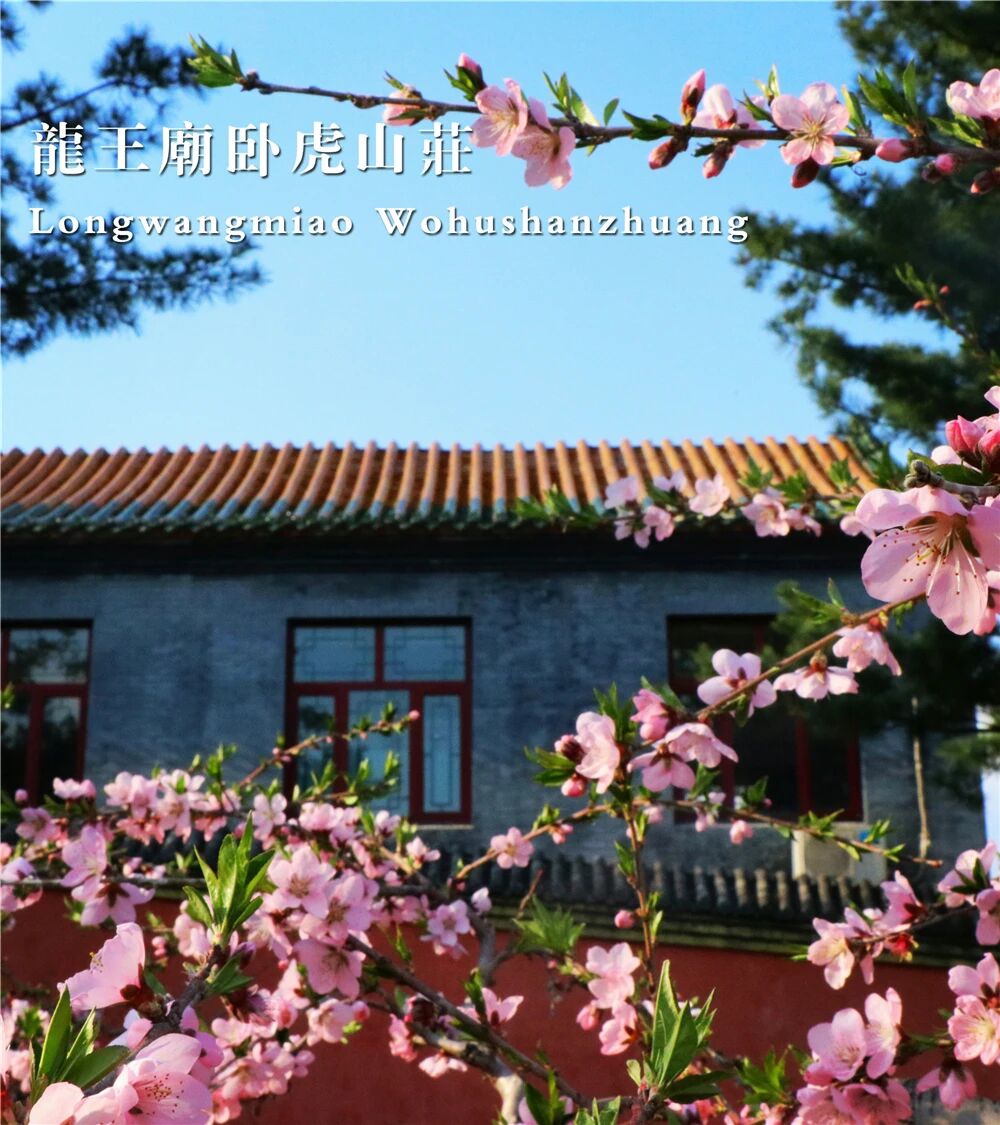 支付集成