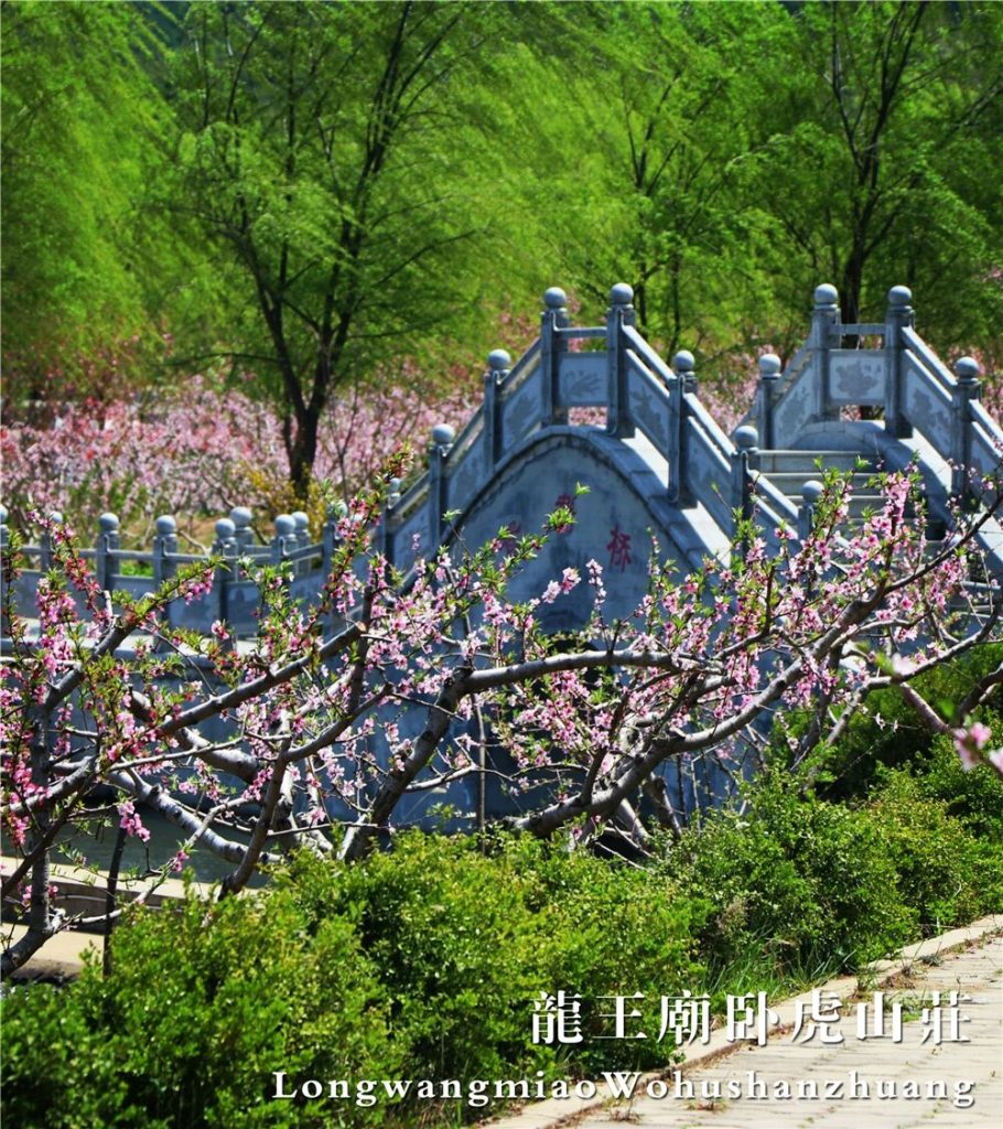 微信图片_2026-08-09_081138_913