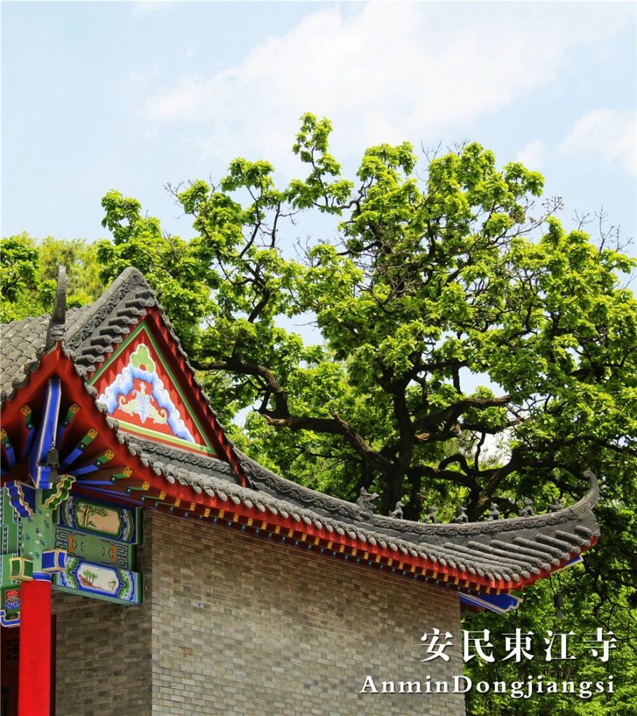 微信图片_2026-08-09_081143_223