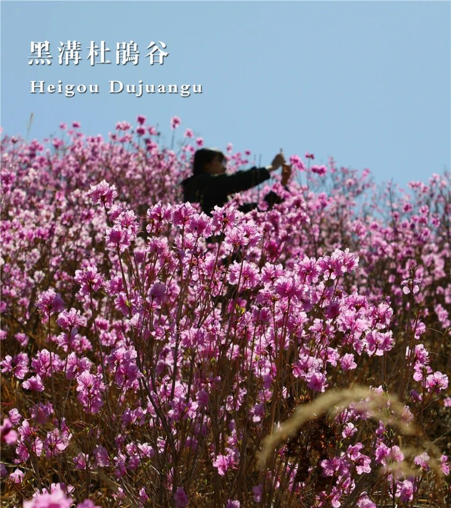 微信图片_2026-08-09_081147_405