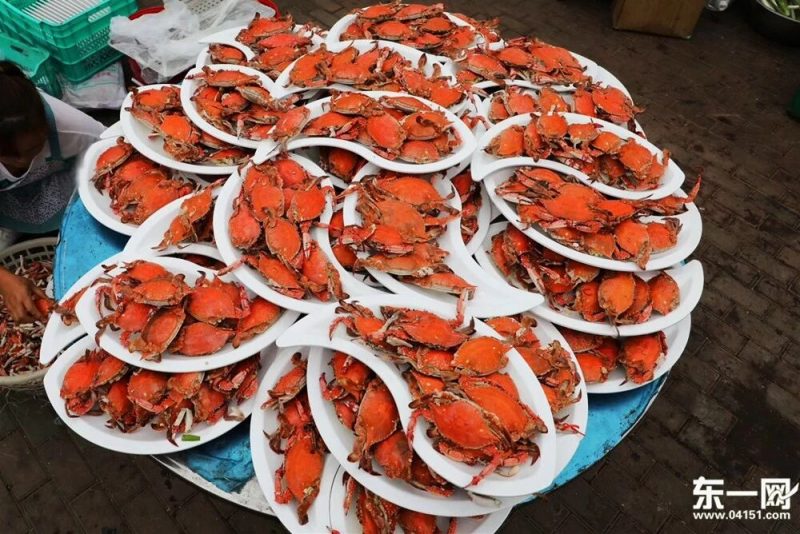 东港1500人的超级海鲜婚宴:海参鲍鱼论筐抬!规模堪称东北之最!-东一网