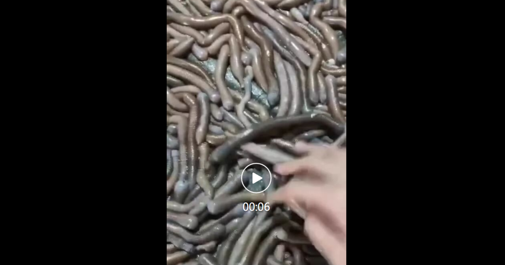 微信图片_2026-08-09_102248_676