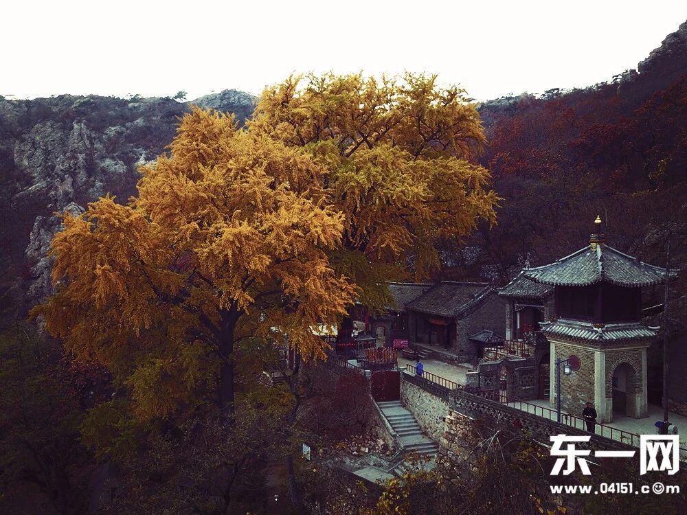 微信图片_2026-08-09_102352_265