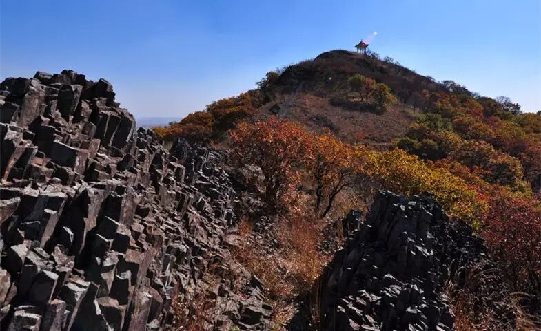 微信图片_2026-08-09_102412_424