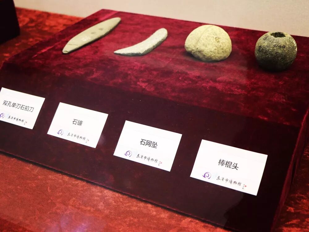 微信图片_2026-08-09_102422_019