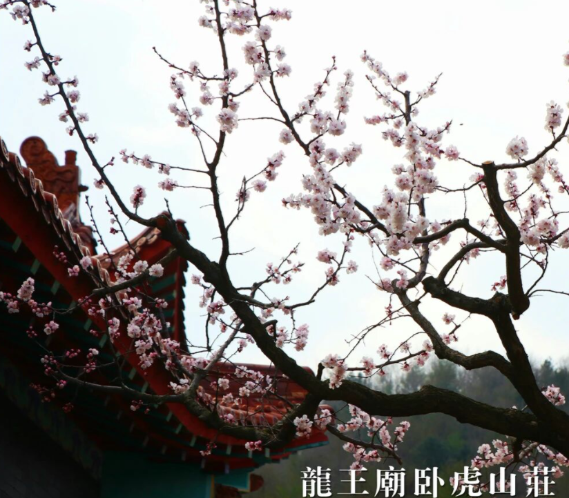东港乡镇故事-龙王庙镇